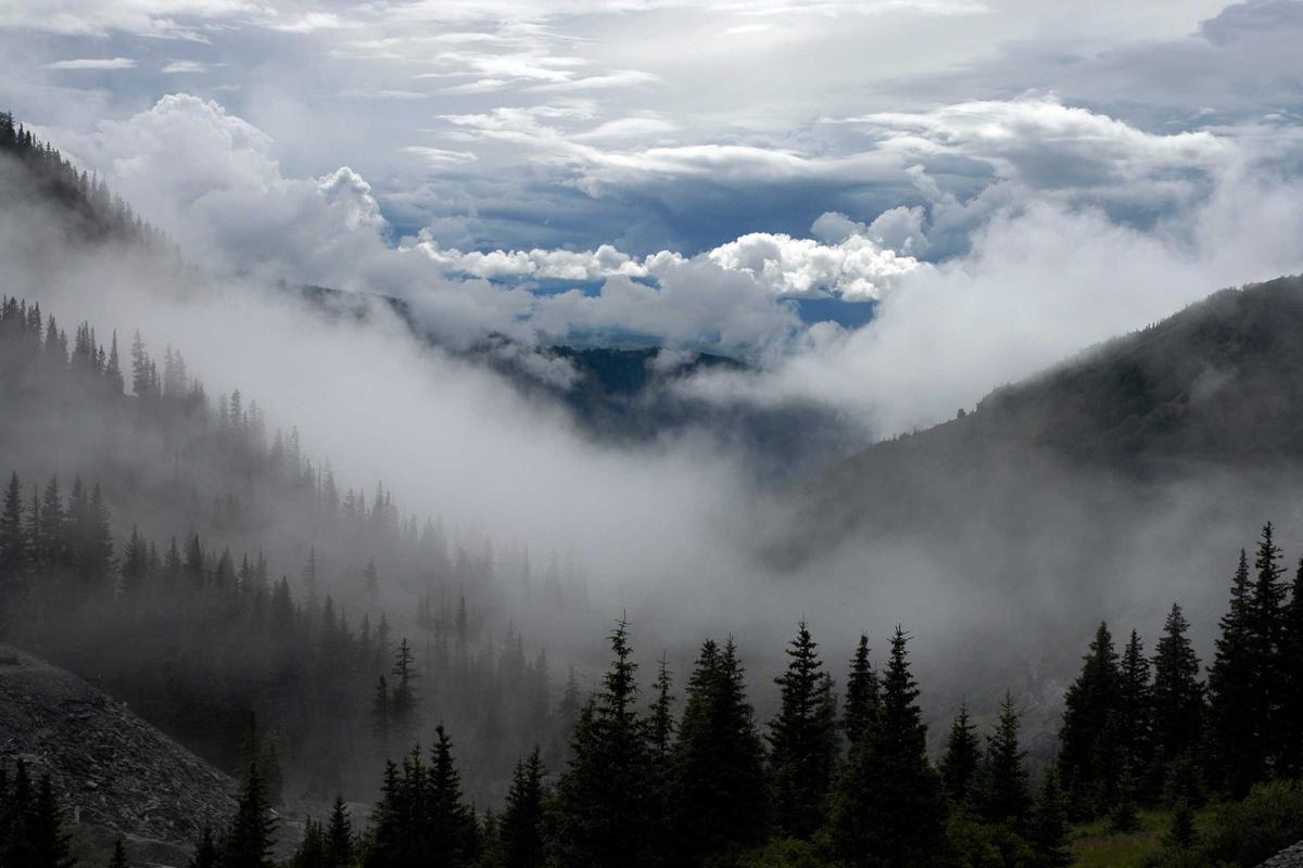 ESG Responsible Investment Funds Are Growing